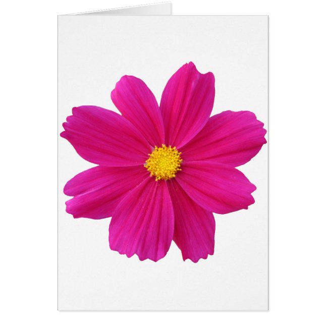 Limpiar.png (Frente)