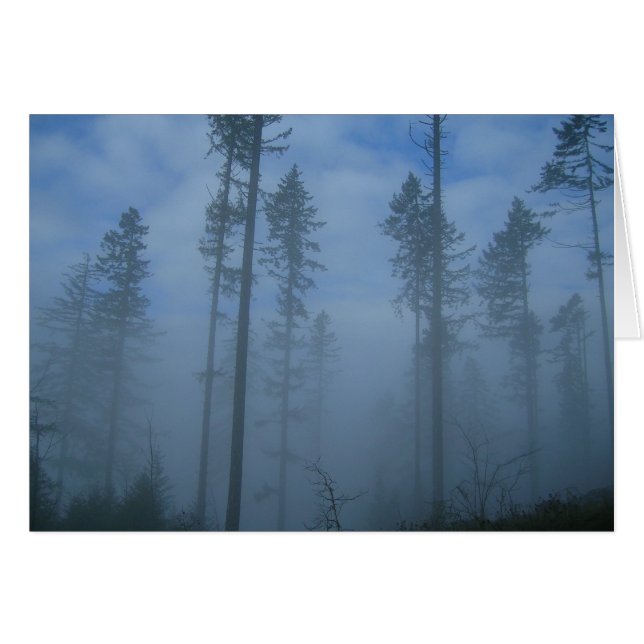 Limpieza de niebla (Anverso (Horizontal))