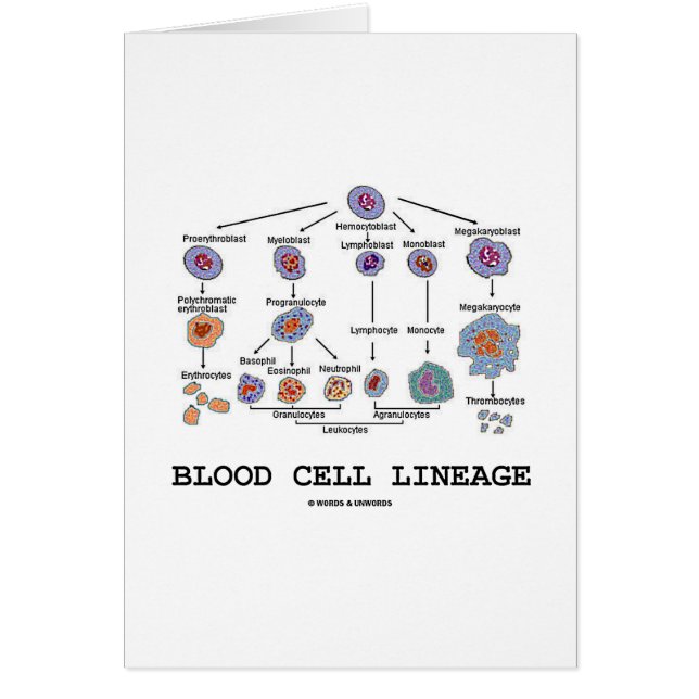 Linaje del glóbulo (medicina de la salud de la (Frente)