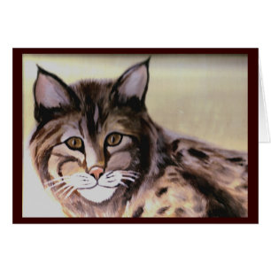 Lince