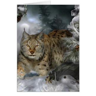 Lince del invierno