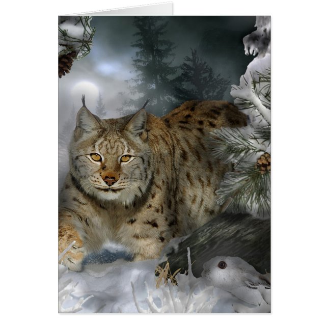 Lince del invierno (Frente)