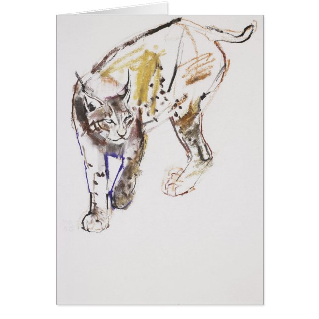 Lince europeo (Frente)