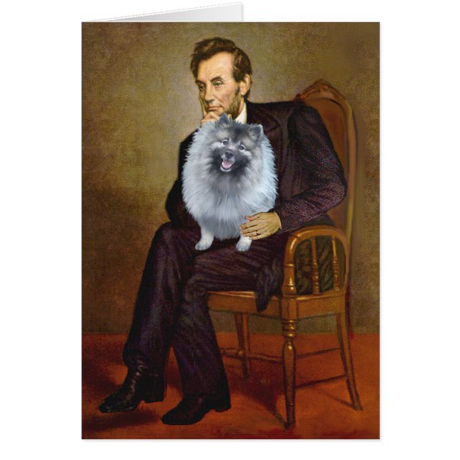 Lincoln - Keeshond (F) (Frente)