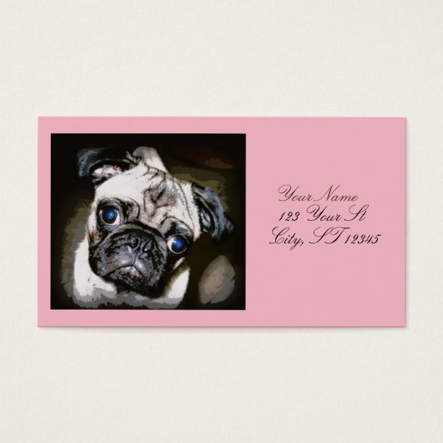 linda cara de pug de ojos azules Thunder_Cove (Frente)