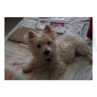 linda tarjeta de jack!