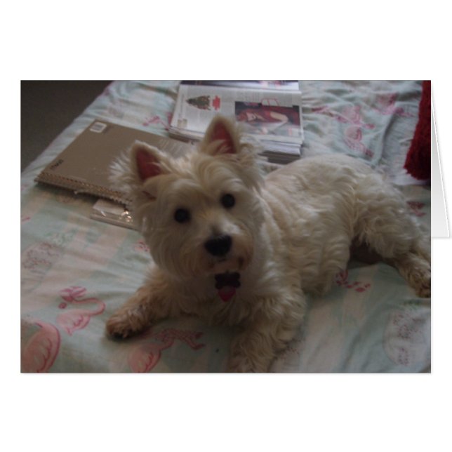 linda tarjeta de jack! (Anverso (Horizontal))