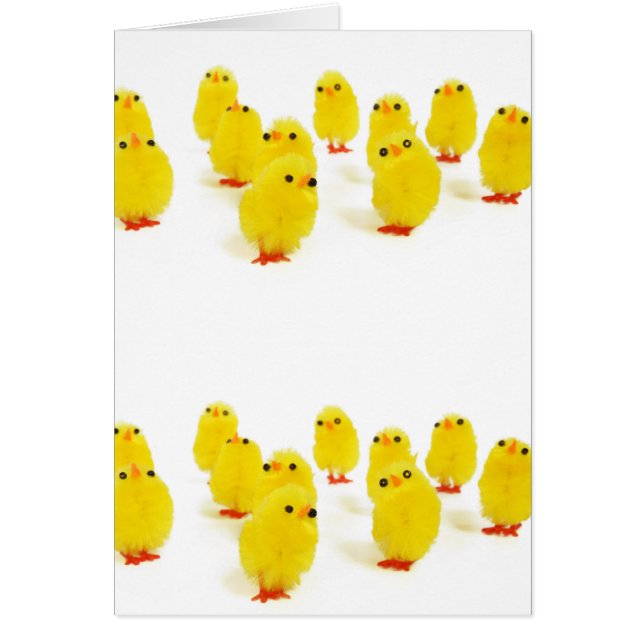 lindas chicas (Frente)