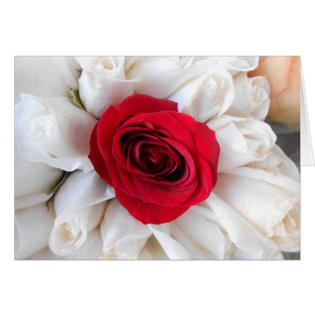 Lindegren (Anverso (Horizontal))