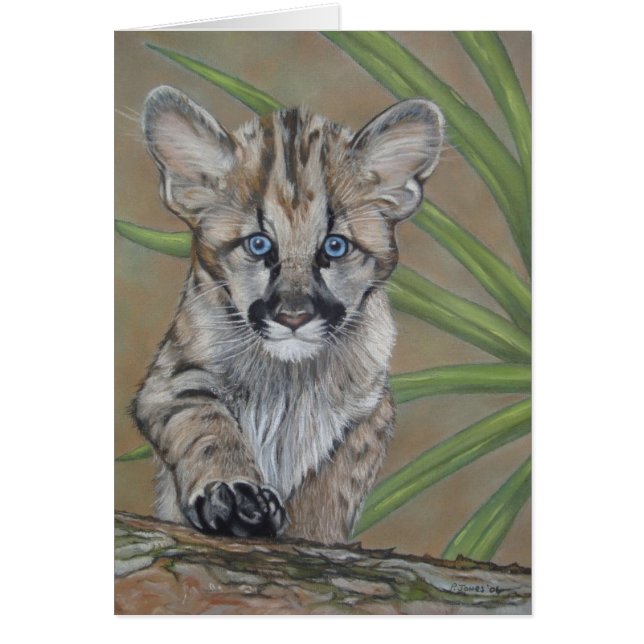 lindo bebé cougar kitten gran gato vida salvaje (Frente)