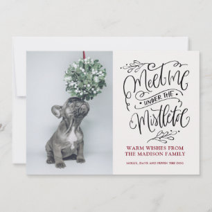 Lindo cachorro oliendo muérdago Navidad