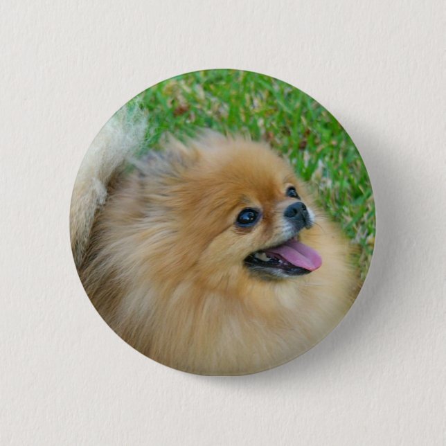 Lindo como botón rubio (Anverso)