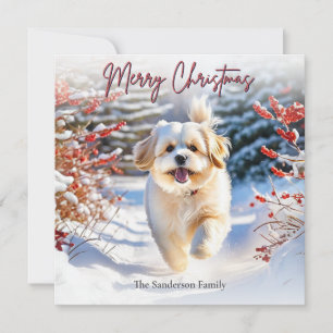Lindo perro Lhasa Apso en la nieve Feliz Navidad