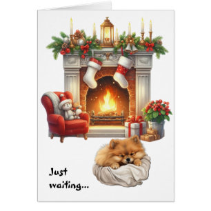 Lindo perro Pomerania esperando la Navidad