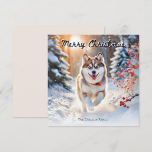 Lindo perro Pomsky en la nieve Navidad feliz Navid