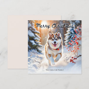 Lindo perro Pomsky en la nieve Navidad feliz Navid