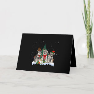 Lindo Schnauzer Miniatura Navidad Perro