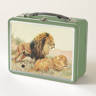 lindos amantes de los leones