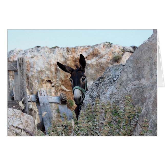 Lindos Donkey (Anverso (Horizontal))