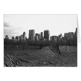 Línea aérea de Nueva York desde Central Park