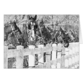 Línea de Caballos Amish Negro y Blanco