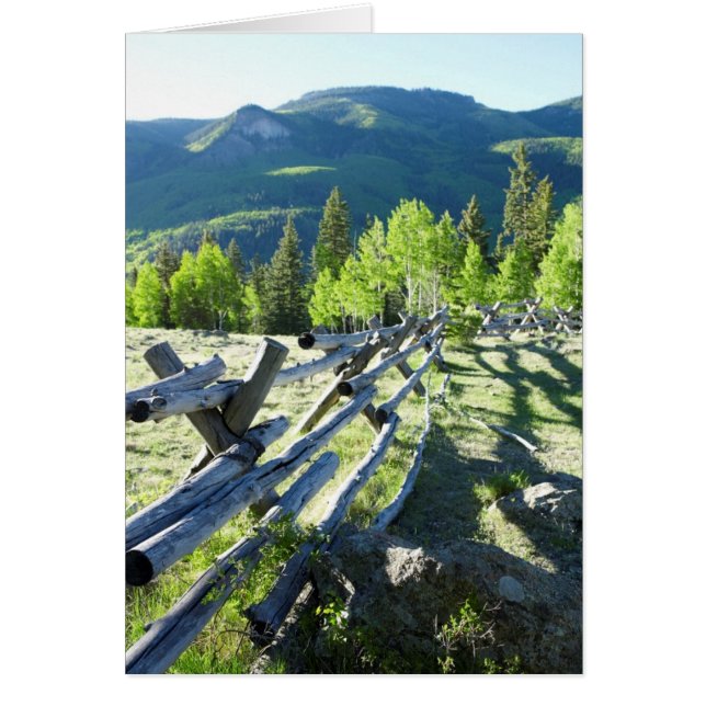 Línea de la madera (Frente)