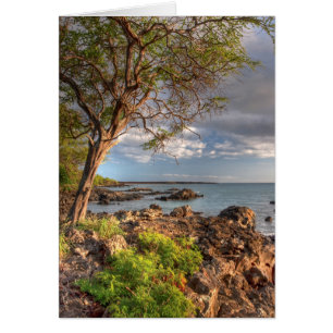 Línea de la playa de Maui