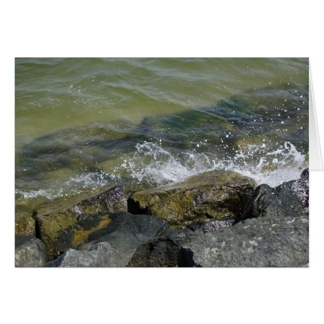 Línea de la playa del verano (Anverso (Horizontal))