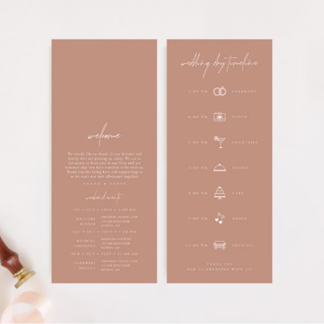 Línea de tiempo simple del día de la boda moderna  (Simple Blush Pink Modern Wedding Day Timeline)