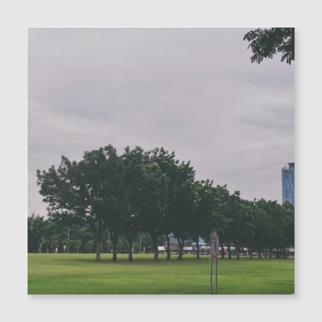 Línea verde (Anverso)