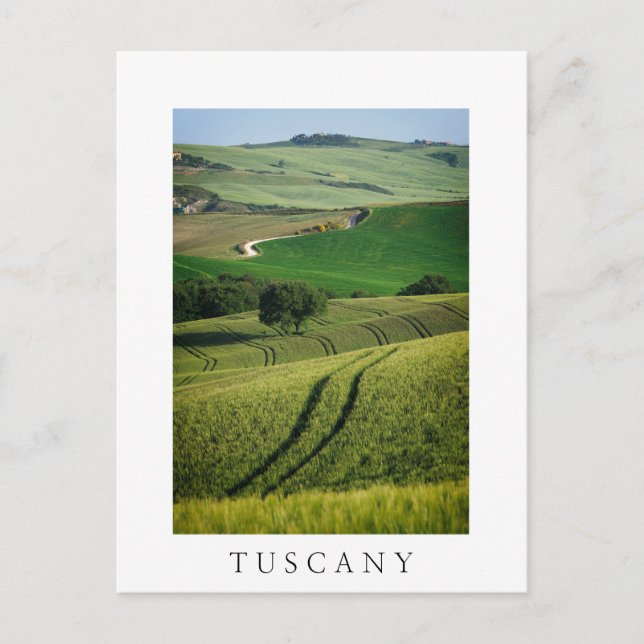Líneas curvadas en la elegante postal toscana verd (Anverso)