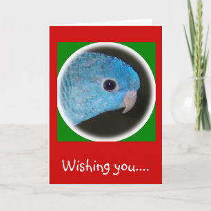 linnie parakeet navidades tarjeta felices vacacion