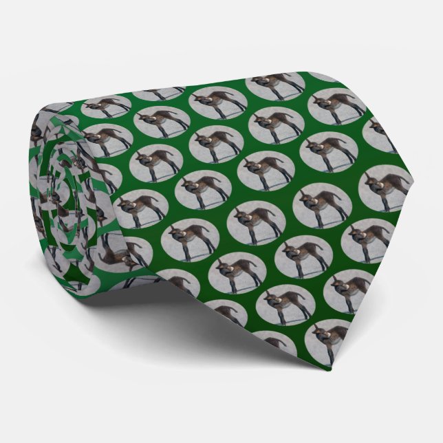 Lío de Burro Corbata (Verde Claro/Oscuro) (Enrollado)