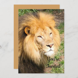 Lion 6918 Invitación de cumpleaños