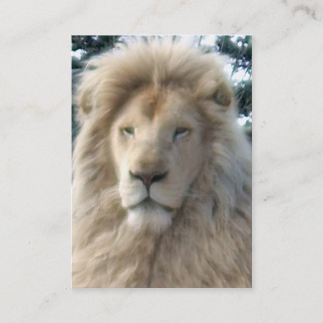 Lion Head tarjeta de negocios de color blanco chub (Anverso)