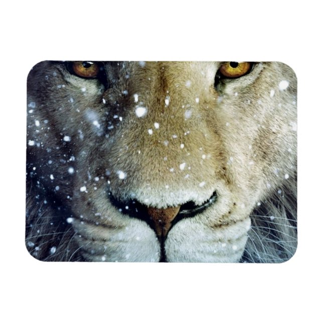 Lion of Judah - Rastafara reggae Rasta imán - (Horizontal)