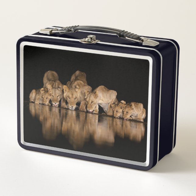 Lion Pride Drinks at the Water Hole at Night (Anverso)