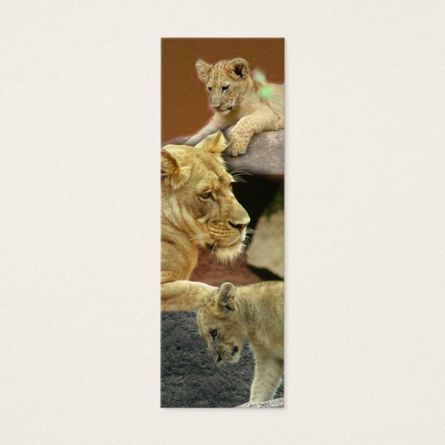 Lioness y Cubs Mini Marcador / (Frente)