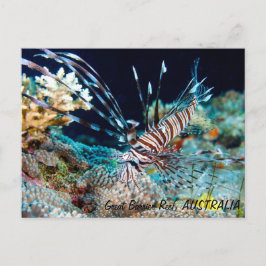 Lionfish en la gran postal de la barrera de arreci