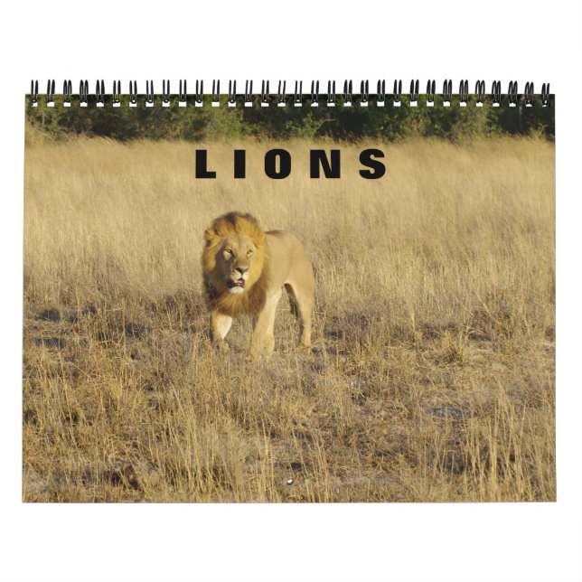 LIONS - TODOS LOS CALENDARIOS DE LEONES (Tapa)