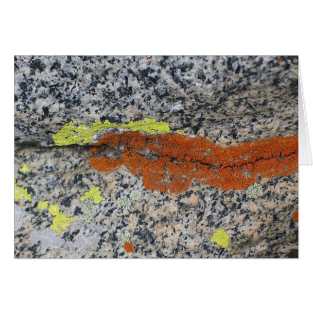 Liquenes, parque nacional de secoya (Anverso (Horizontal))