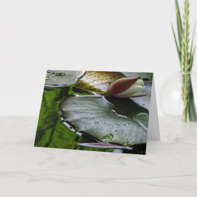 Lirio alrededor a florecer tarjeta de felicitación (Anverso)