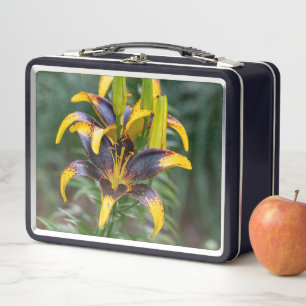 Lirio asiático híbrido negro, floral audaz y elega