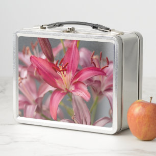 Lirio asiático rosado, flor elegante