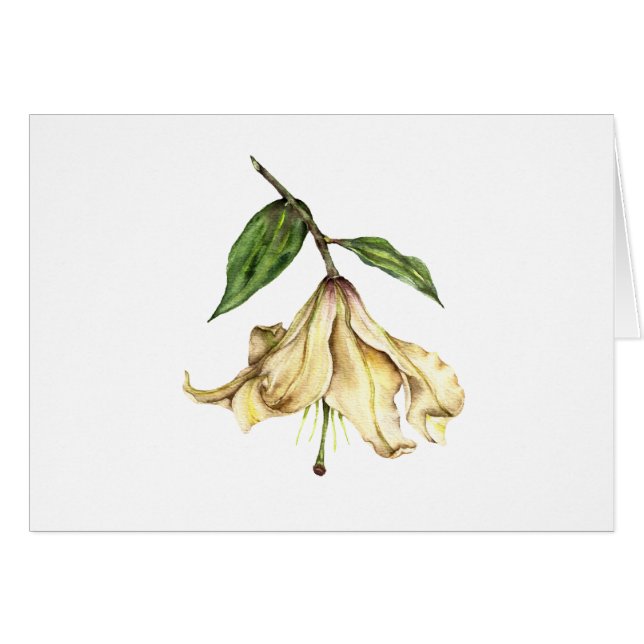 Lirio blanco (Anverso (Horizontal))