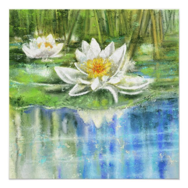 Lirio de agua blanca Nymphaea Alba Poster (Anverso)