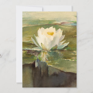Lirio de agua con luz solar John La Farge
