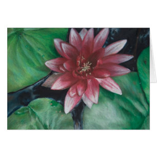 Lirio de agua magenta
