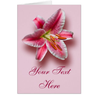 Lirio de estrellas de color rosa