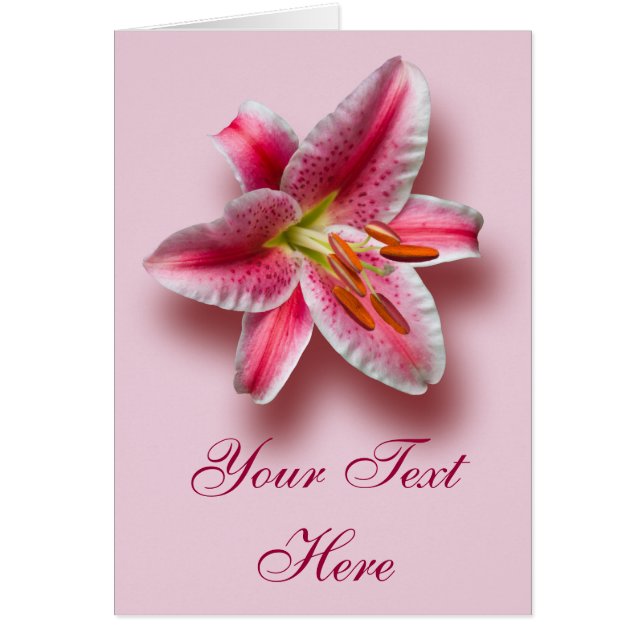 Lirio de estrellas de color rosa (Frente)